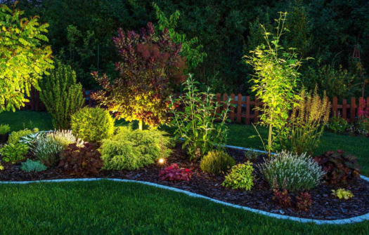 Elevate Your Garden: 14 Tips with the Best Interior Designer 